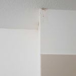 Recherche fuite plafond